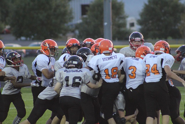 广阔的未来 广阔的未来