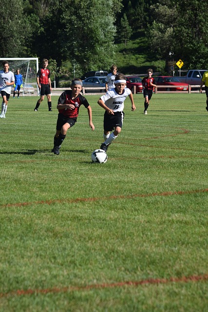 这些都是中 这些都是中