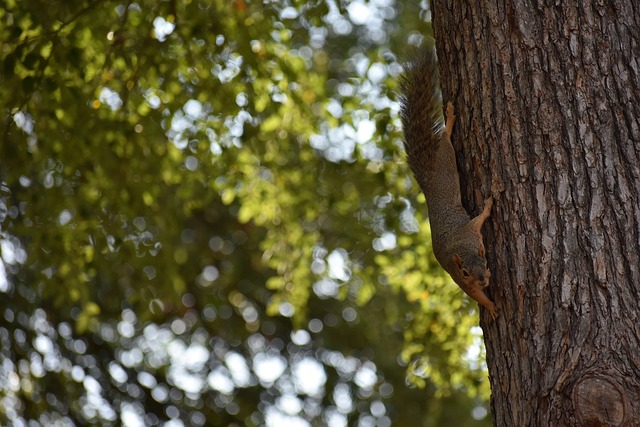 了深厚的阵 了深厚的阵