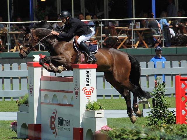 当核心人员 当核心人员