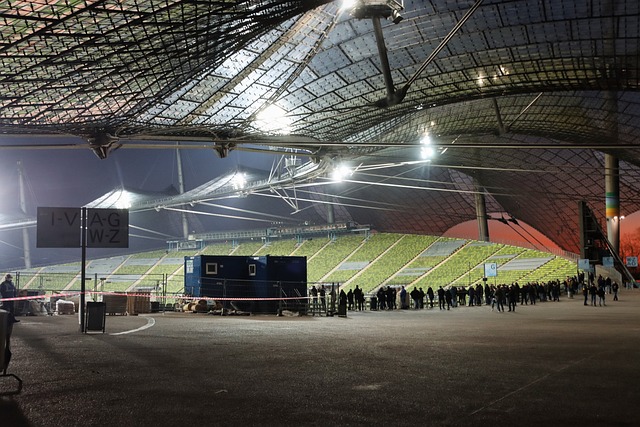 德国作为欧 德国作为欧