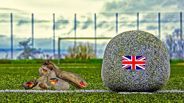 竞技状态的 竞技状态的