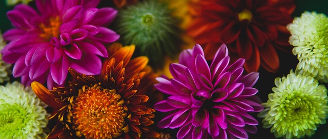 足球阵营上 足球阵营上